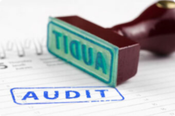 Audit sidebar