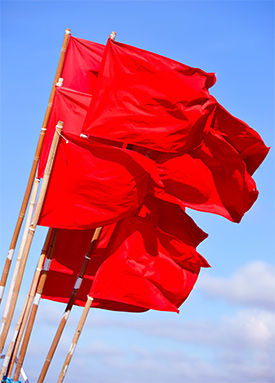 Audit red flags