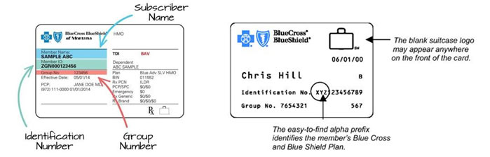 Managing the Blue Card Plans - KMC University